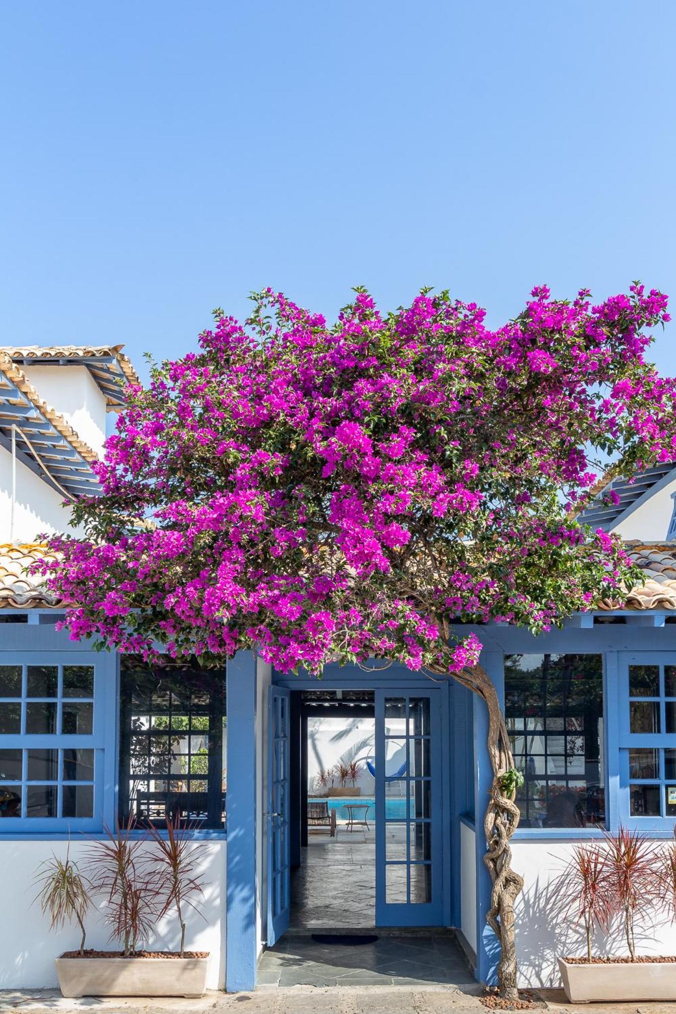 Pousada Vila Capri Búzios エクステリア 写真
